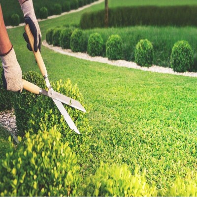 Sharp Blade Hedge Shear Sharp Blade Hedge Shear