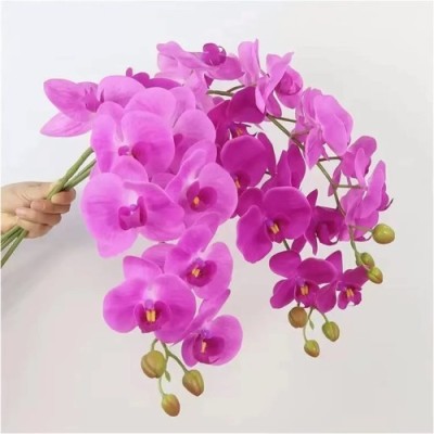 Orchid Flowers Decorative Vase Orchid Flowers Decorative Vase