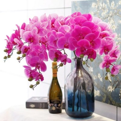 Orchid Flowers Decorative Vase Orchid Flowers Decorative Vase