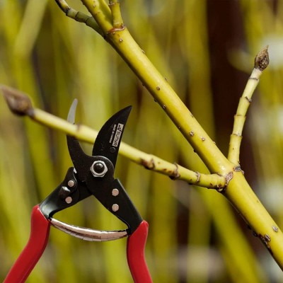 Carbon Curved Blade Scissor Carbon Curved Blade Scissor