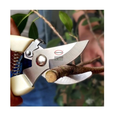 Red Colour Plant Scissor Red Colour Plant Scissor