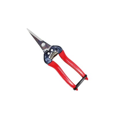 Sharp Fruit Pruner Sharp Fruit Pruner