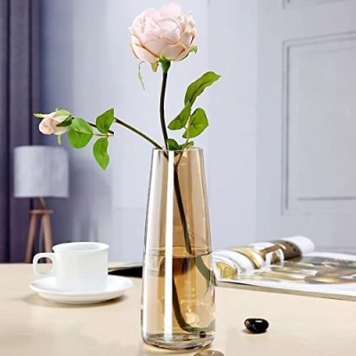 Tree Tapered Glass Vase Tree Tapered Glass Vase